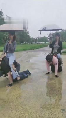 【二宝】3S精彩户外调-雨天脏鞋踢踹犬化训练 bf13565