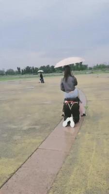 【二宝】3S精彩户外调-雨天脏鞋踢踹犬化训练 bf13565