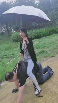 【二宝】3S精彩户外调-雨天脏鞋踢踹犬化训练 bf13565