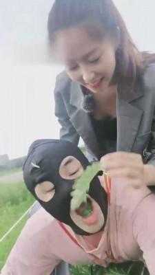 【二宝】3S精彩户外调-雨天脏鞋踢踹犬化训练 bf13565