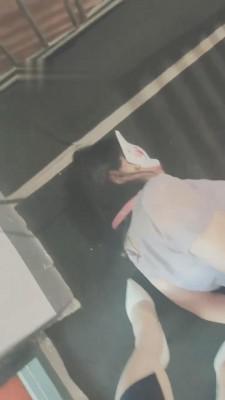 【束之高阁】加固囚禁逃跑女奴 bf13563