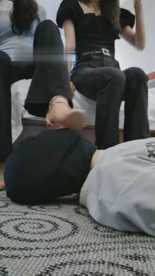 【森森】素人同学踩狗狗/喝新鲜圣水 bf13556