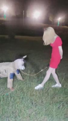 【紫烟】户外调教拾荒者【双视角版】 bf13386