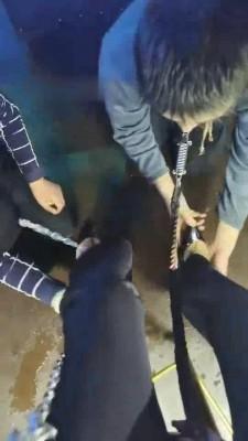 【药神V】双奴大PK bf9308