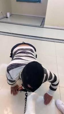 【一纸】喜欢脏小白鞋棉袜的狗 bf21247