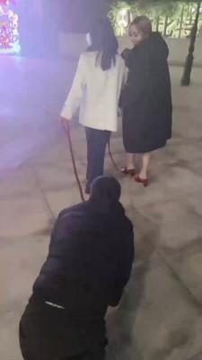 【牙乖乖】双S商业街公开遛狗【双视角版】 bf21100