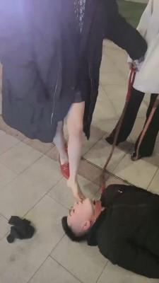 【牙乖乖】双S商业街公开遛狗【双视角版】 bf21100