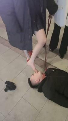 【牙乖乖】双S商业街公开遛狗【双视角版】 bf21100