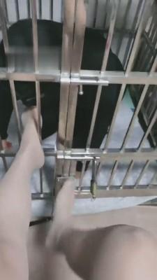 【乐爷】和恋足狗玩游戏 bf13137