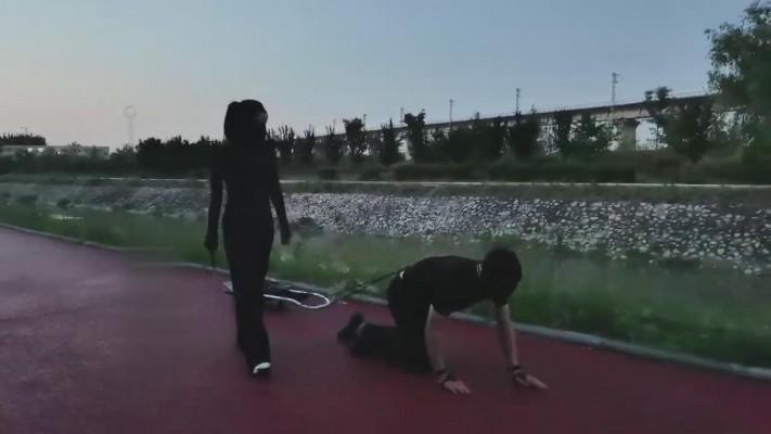 【药神】雨天户外遛狗 bf12697