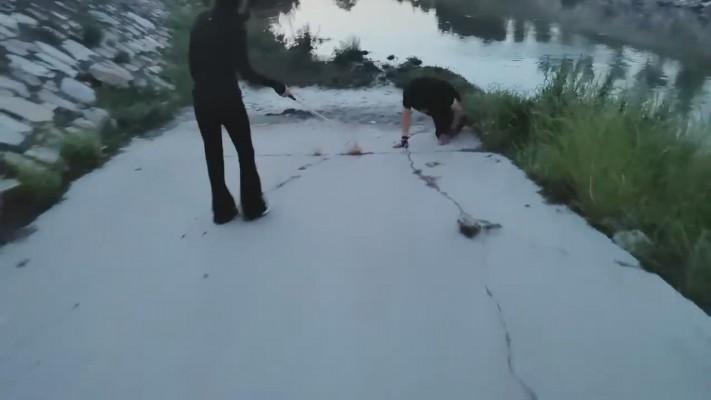 【药神】雨天户外遛狗 bf12697