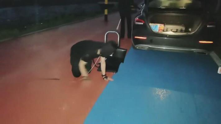 【药神】雨天户外遛狗 bf12697