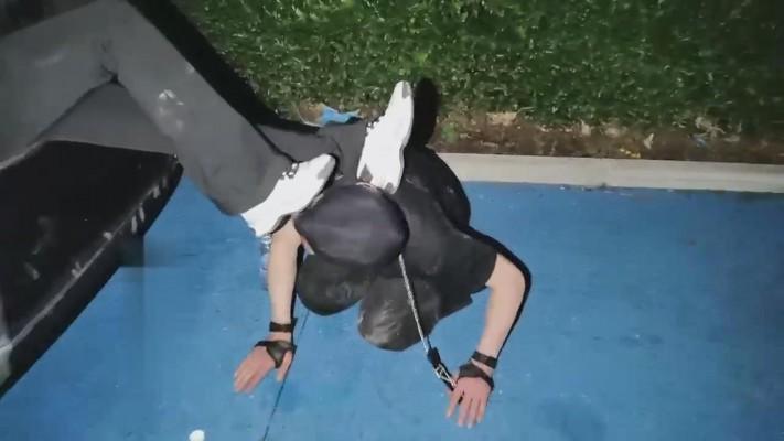 【药神】雨天户外遛狗 bf12697