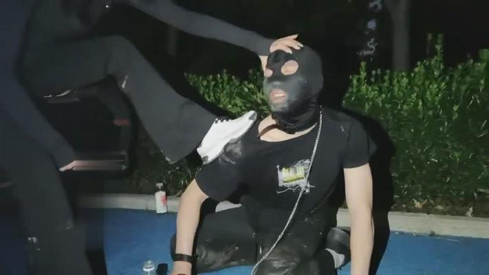 【药神】雨天户外遛狗 bf12697