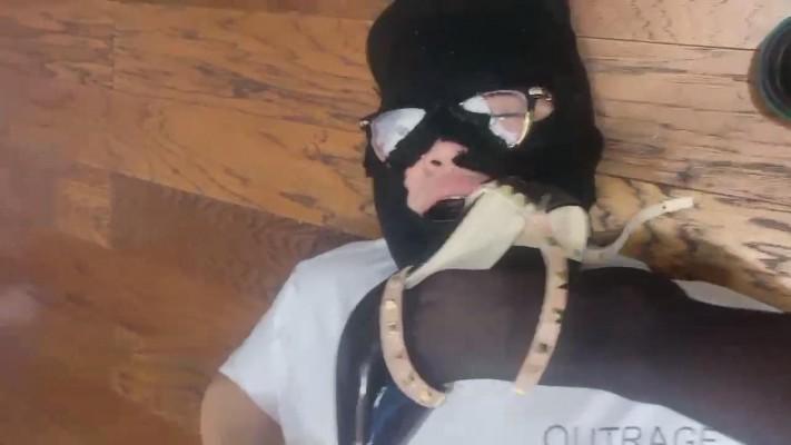 【别人S】重度玩家犬 bf12620