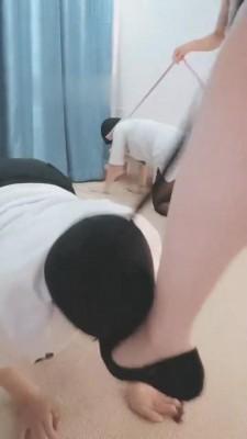 【九夜】双S群调双狗 bf12504