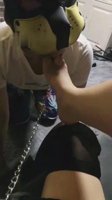 【柒qi】刑房囚禁逗圈养狗 bf12429