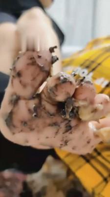 【00后软软】AJ脏鞋白棉袜足喂食 bf555