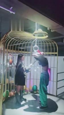 【小拽主人】酒吧3S精神小妹吊绑虐狗 bf4173