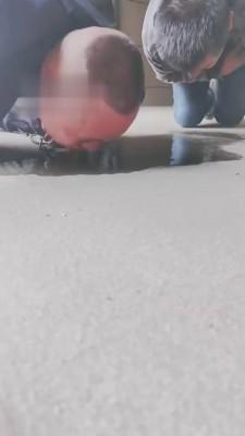 【成都茶茶女s】超强户外群调-骑马 bf4131