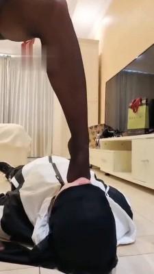 【三三】衣柜里居然藏了只狗 bf3944