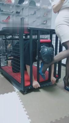 【就是喜欢玩啊】狗笼里暗黑囚禁 bf3498