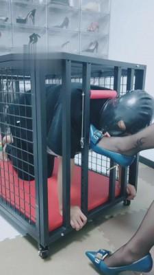 【就是喜欢玩啊】狗笼里暗黑囚禁 bf3498