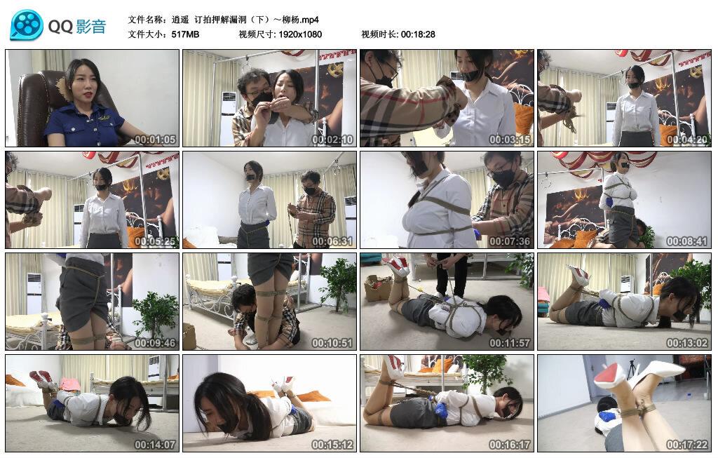 逍遥】订拍押解漏洞（下）～柳杨