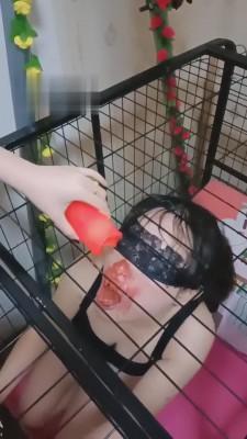 【女慕乐】囚禁玩弄狗笼里的骚母狗 bf3512