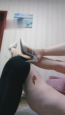 【夜伴】解锁家具狗的新技能 bf3509