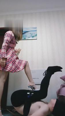 【夜伴】解锁家具狗的新技能 bf3509