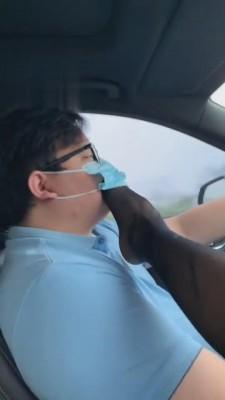 【绘子sama】皮裤高跟碾脸调戏闻舔黑丝 bf3393