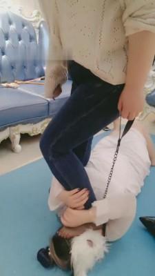 【京S芯瑶】虐素人女孩-sp/藤条/踩脸/耳光 bf7850