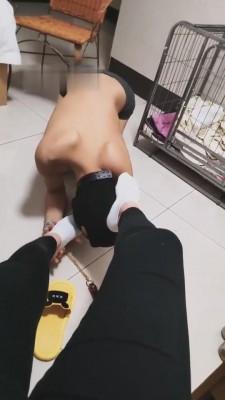 【超高能S】圈养奴一天的生活 bf7603