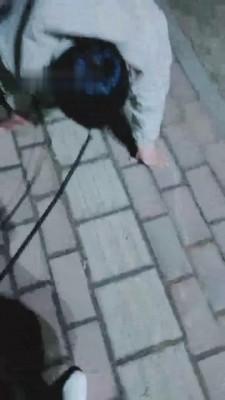 【魅影女神】饭后遛遛狗虐虐 bf7601