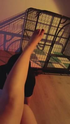 【书瑶瑶瑶】狗笼调教圈养喂食圣水【下】 bf7543