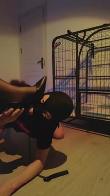 【书瑶瑶瑶】狗笼调教圈养喂食圣水【上】 bf7542