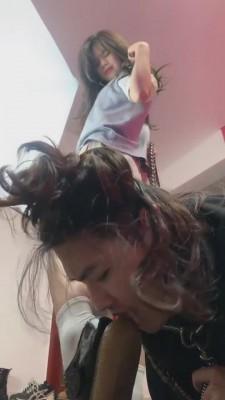 【甜甜】再帅也是一条狗而已 bf7544