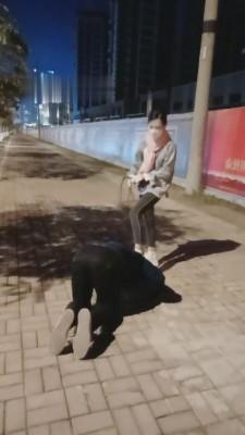 【多多】大马路上反绑起来狠虐 bf7256