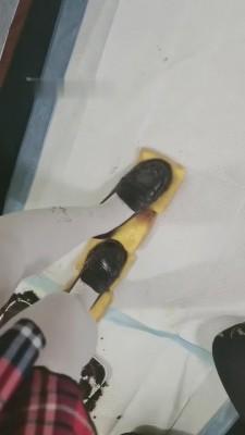 【傲柔】舔泥鞋底-口水烟灰泥巴踩狗脚 bf7884