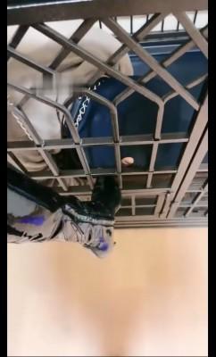 【仙女殿下】把追求者变成狗 bf7000