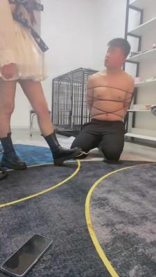 【冬莲】捆绑-重度鞭打贱狗 bf5966