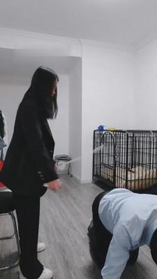 【青城】重度机选扑克牌鞭抽 bf10080