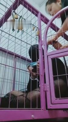 【东营天香百合】暗黑囚禁骚狗 bf9055