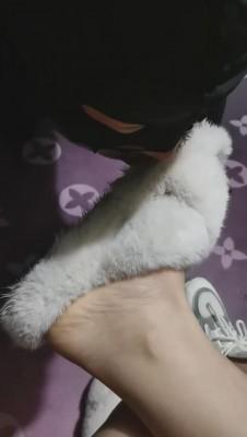 【北京宠儿】教素人闺蜜调教出轨男友 bf8902