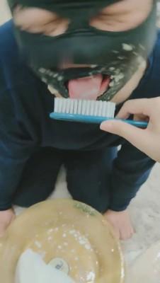 【一茶】抓到一只偷鞋狗惩罚 bf10009