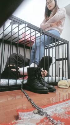 【执念】玩笼子里的狗 bf10218