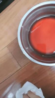 【执念】玩笼子里的狗 bf10218