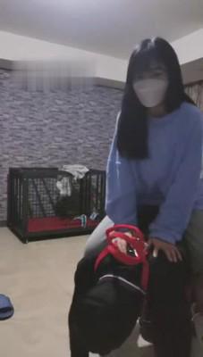 【夏夏绳缚】骑马捆绑专场 bf10263