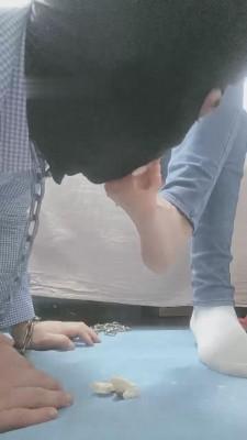 【执念】狗笼里放出来喂食 bf10256